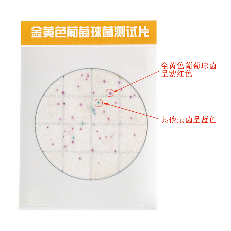金葡陽性.jpg